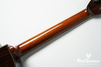 aNN-LS700 Design by Luthier Sugita Kenji