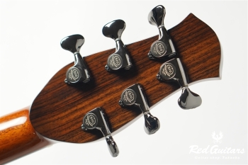 aNN-LS700 Design by Luthier Sugita Kenji