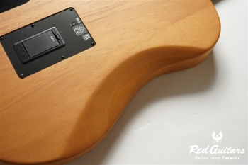 HIGHWAY SERIES DREADNOUGHT - Natural