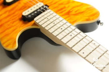 AXIS AX40-TGO-M - Trans Gold