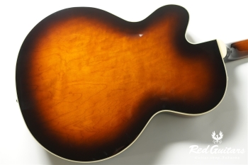 G2420T Streamliner Hollow Body with Bigsby - Robusto Burst