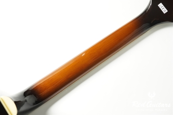 G2420T Streamliner Hollow Body with Bigsby - Robusto Burst