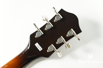 G2420T Streamliner Hollow Body with Bigsby - Robusto Burst