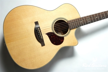F120-GA Sitka Spruce / African Mahogany