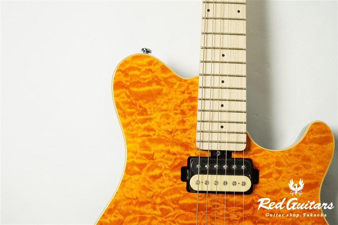 AXIS AX40-TGO-M - Trans Gold