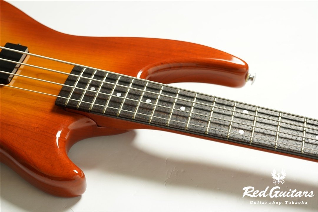 PJB-540 - Amber