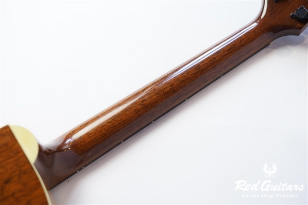 EM19C