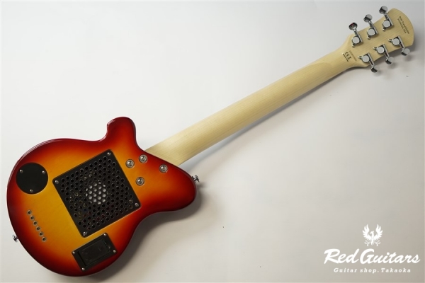 PGG-200 - CS
