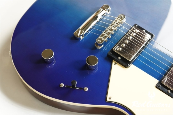 REVSTAR RSP20 