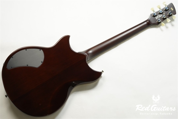 REVSTAR RSP20 