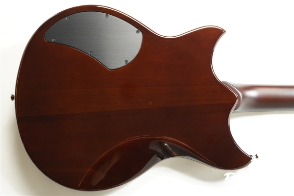 REVSTAR RSP20 
