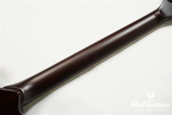 REVSTAR RSP20 