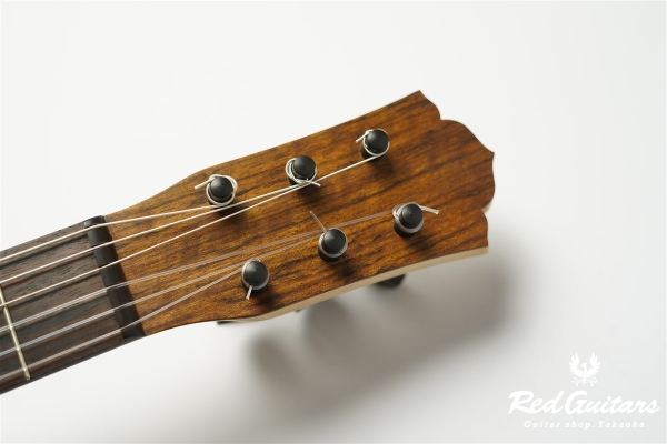 guitar 14f std. g - Ovangkol