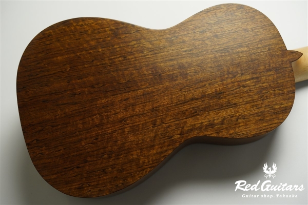 guitar 14f std. g - Ovangkol