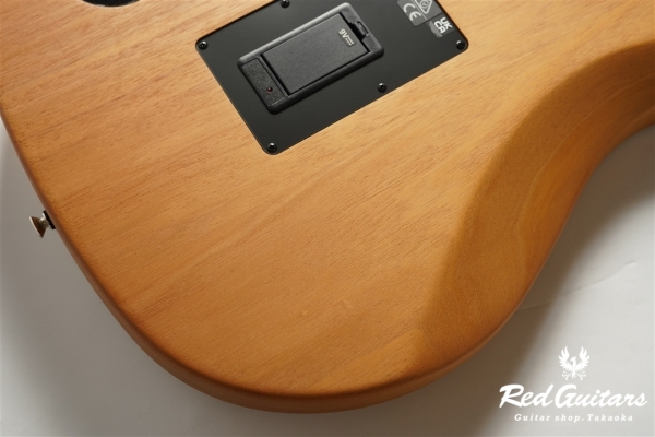 HIGHWAY SERIES DREADNOUGHT - Natural