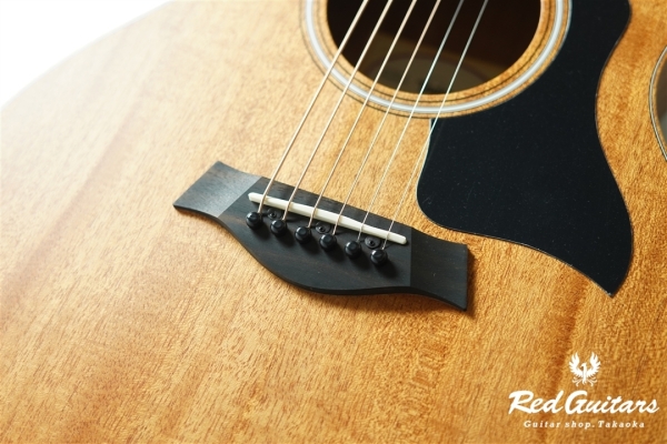 GS mini-e Mahogany