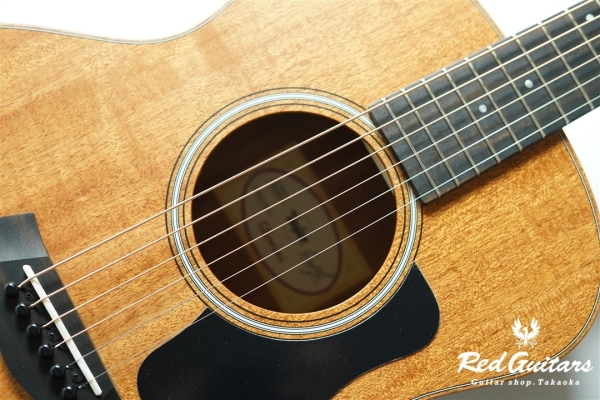 GS mini-e Mahogany