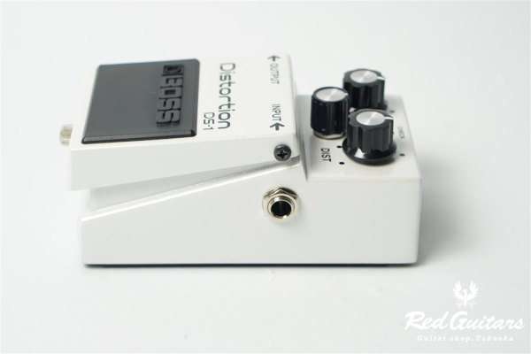 DS-1 WH