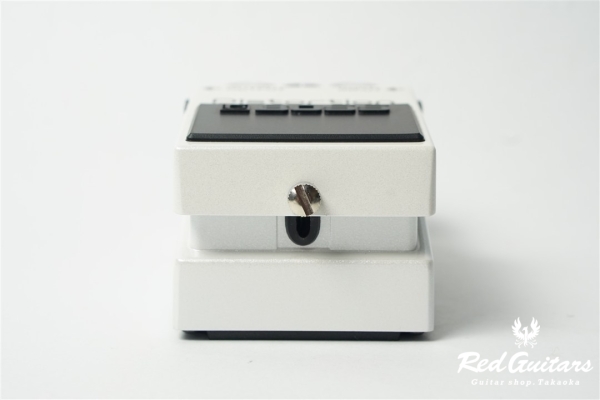 DS-1 WH