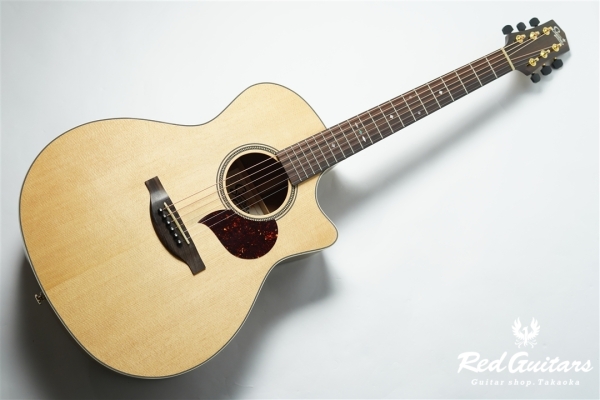 F120-GA Sitka Spruce / African Mahogany
