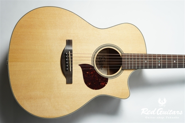 F120-GA Sitka Spruce / African Mahogany
