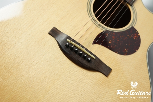 F120-GA Sitka Spruce / African Mahogany