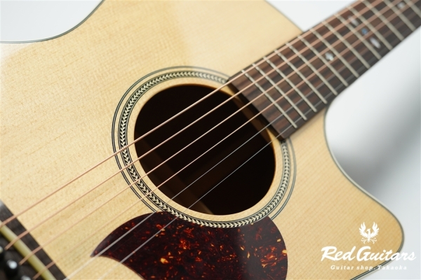 F120-GA Sitka Spruce / African Mahogany