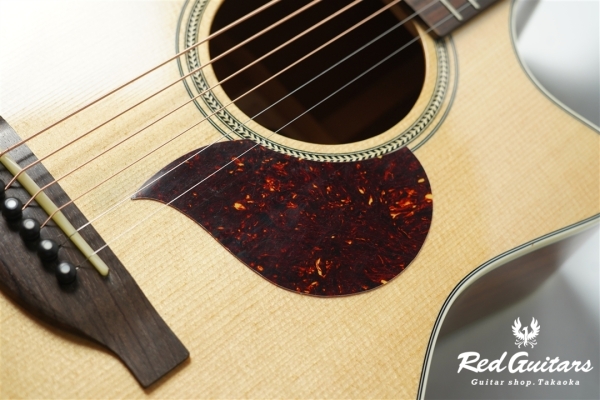 F120-GA Sitka Spruce / African Mahogany