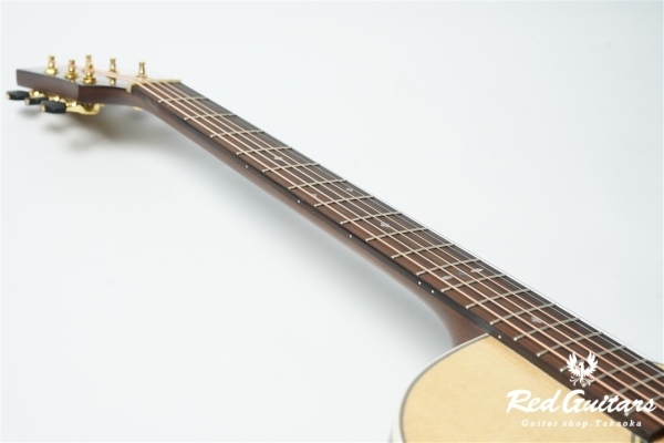 F120-GA Sitka Spruce / African Mahogany