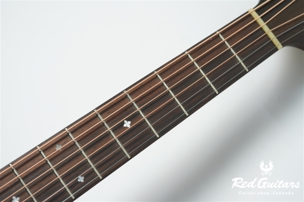 F120-GA Sitka Spruce / African Mahogany