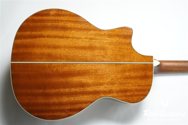 F120-GA Sitka Spruce / African Mahogany