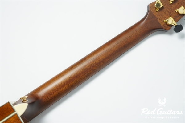 F120-GA Sitka Spruce / African Mahogany