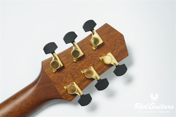 F120-GA Sitka Spruce / African Mahogany