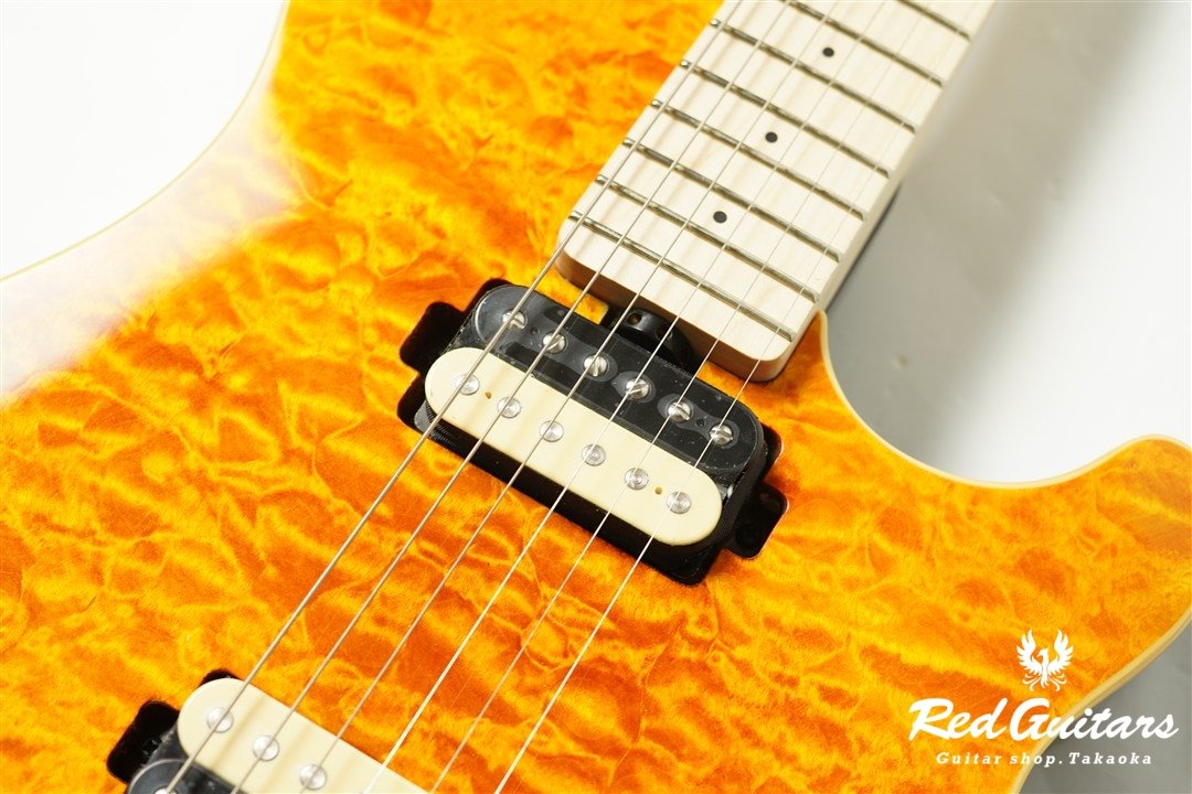 AXIS AX40-TGO-M - Trans Gold