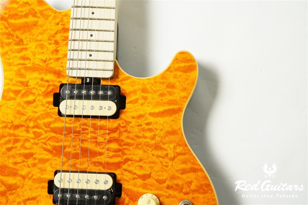 AXIS AX40-TGO-M - Trans Gold