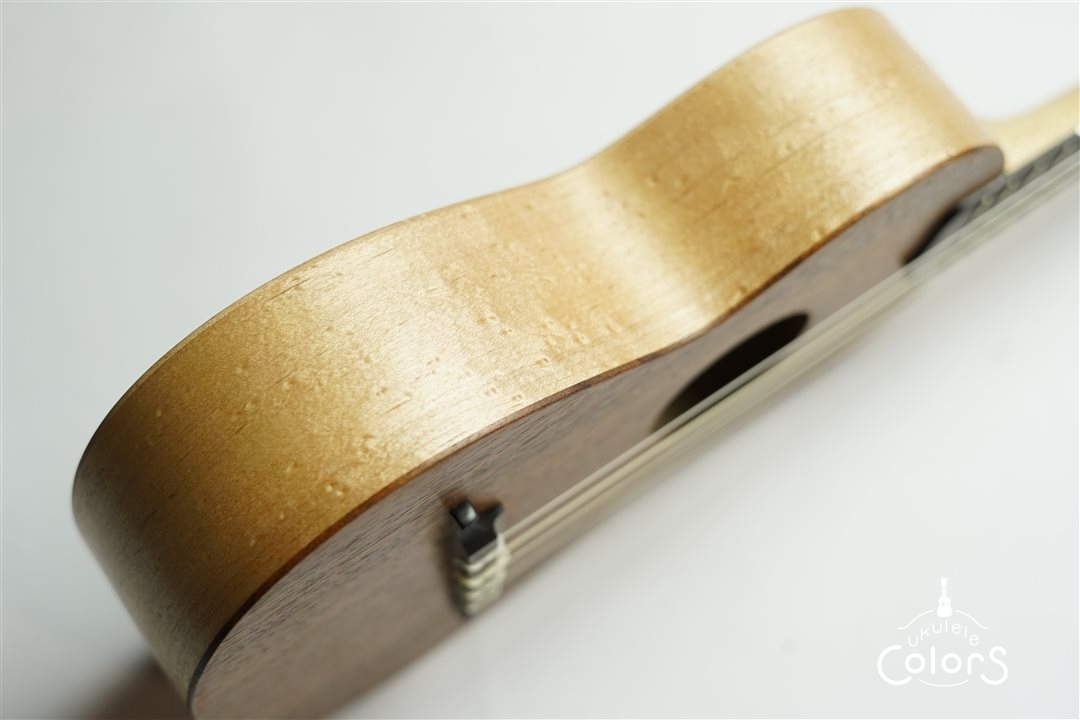 ukulele concert 14f std. – Hawaiian Koa TOP/Bird’s eye Maple SIDE & BACK