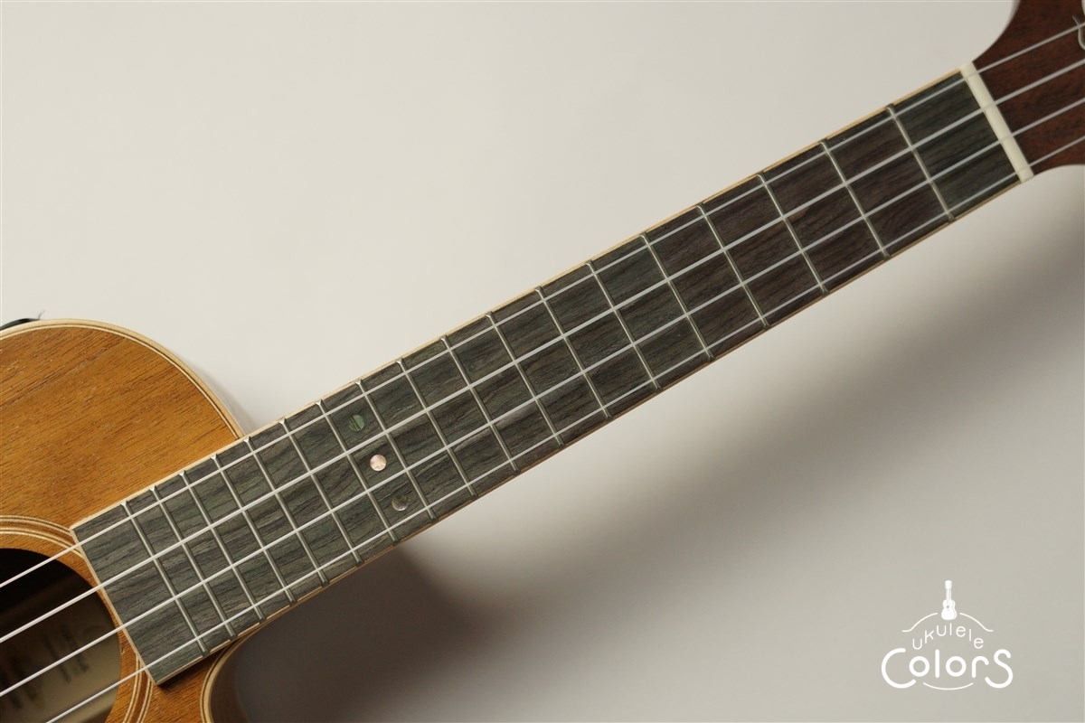ORTEGA RUWN-CE | ウクレレカラーズ Online Store