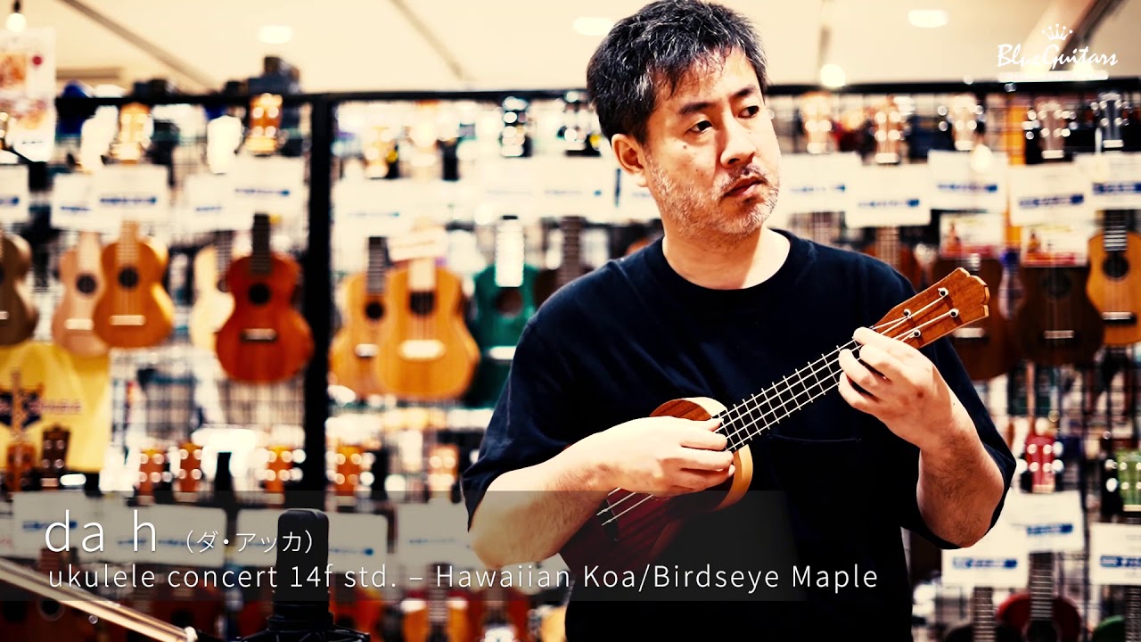 ukulele concert 14f std. – Hawaiian Koa TOP/Bird’s eye Maple SIDE & BACK