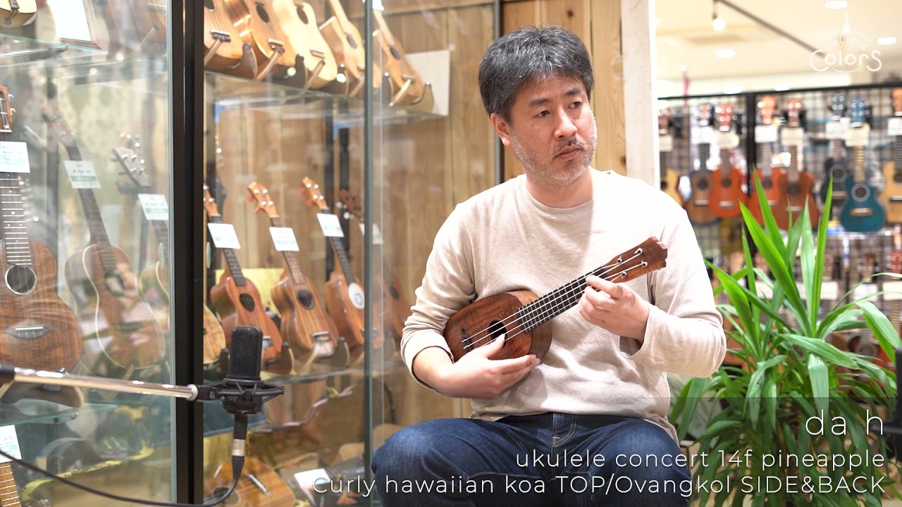 ukulele concert 14f pineapple - Curly hawaiian koa TOP/Ovangkol SIDE&BACK