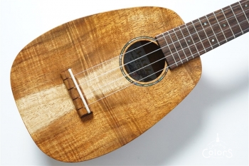 HK-PS 1st Anniversary