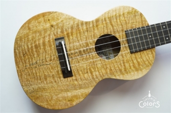 ECO-C Curly Mango #0222