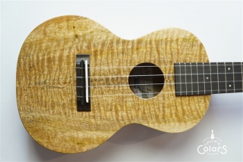 ECO-C Curly Mango #0222