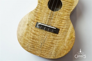 ECO-C Curly Mango #0222