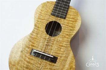 ECO-C Curly Mango #0222