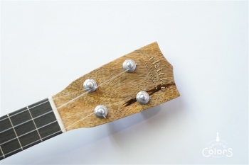 ECO-C Curly Mango #0222