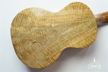 ECO-C Curly Mango #0222