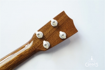 ECO-C Curly Mango #0222