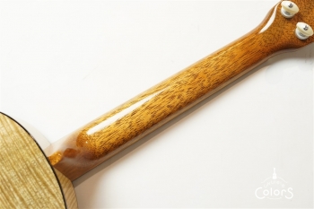 Custom-T Premium Curly Mango/Tenor  [1Piece TOP/BACK]