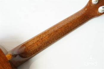 ECO-C+ Hawaiian Koa [1Piece TOP/BACK] #0248