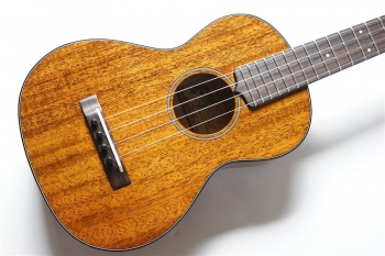 AM-T・KIYOSAKU #859